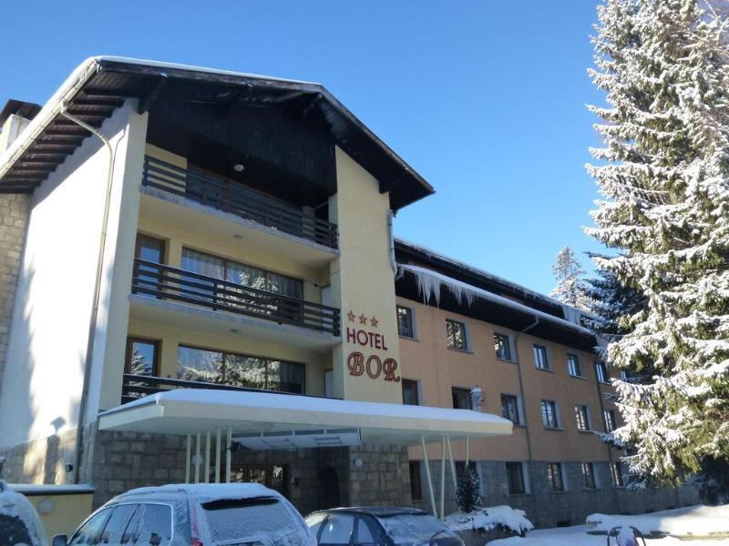Hotel Bor Borowez